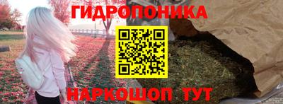 PSILOCYBIN Новозыбков