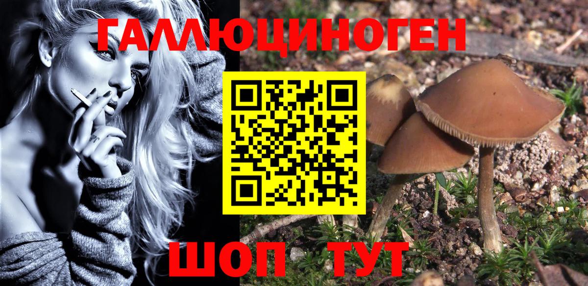 Сланцы  Псилоцибиновые грибы мухоморы  Вход с VPN 