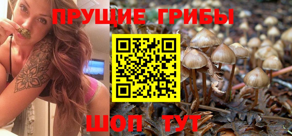 Галлюциногенные грибы MAGIC MUSHROOMS Сланцы