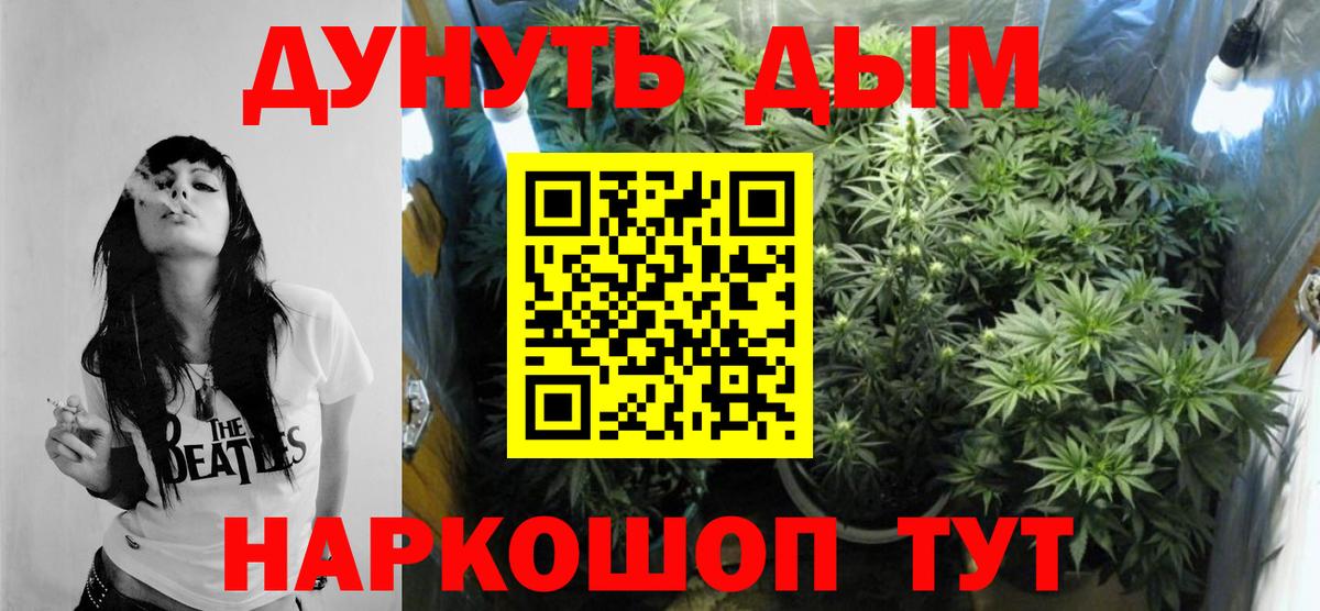 Конопля гибрид Сланцы